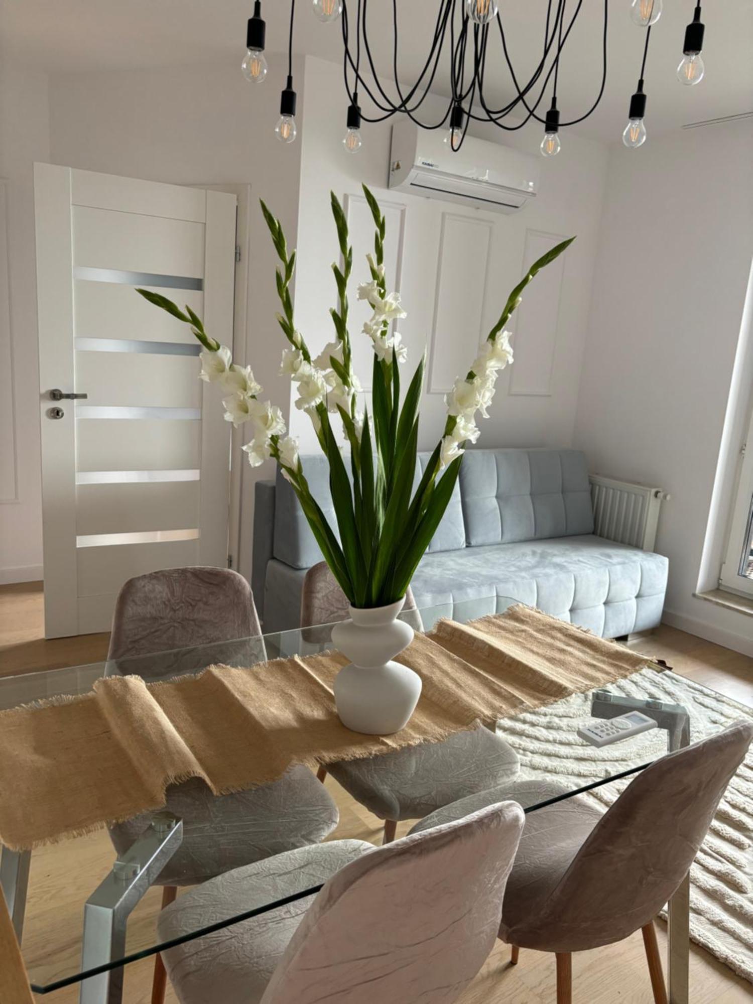 Apartment Business And Friendly Self Check In Rzeszów